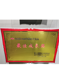 寶山區(qū)2019年度經(jīng)濟發(fā)展最佳成長獎